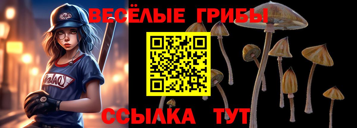 Галлюциногенные грибы Magic Shrooms Ногинск